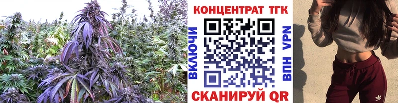 Дистиллят ТГК Wax  где купить наркоту  Голицыно 