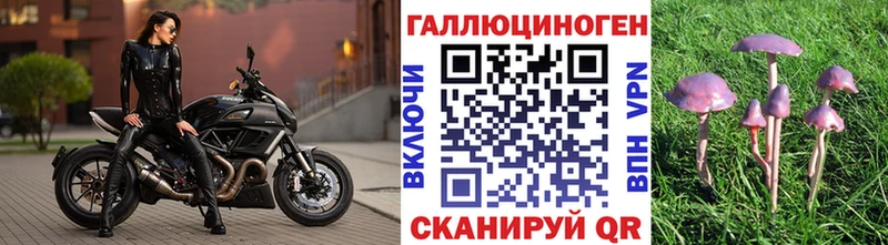 Галлюциногенные грибы прущие грибы  Голицыно 
