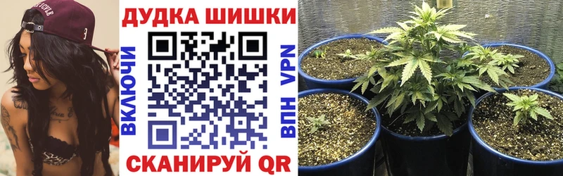 Бошки Шишки THC 21% Голицыно